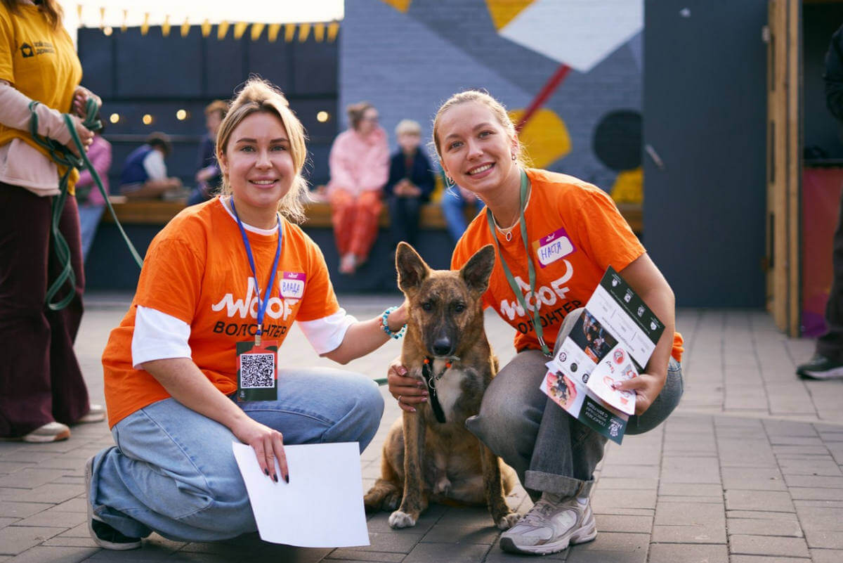 фестиваль WOOF 2026