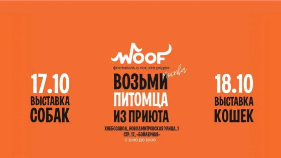 фестиваль WOOF 2026