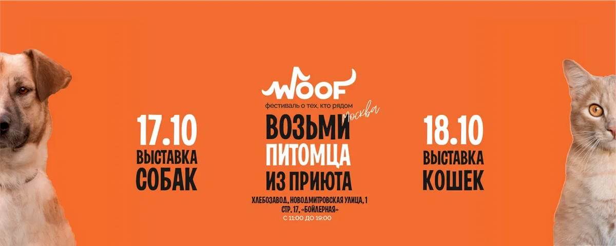 фестиваль WOOF 2026